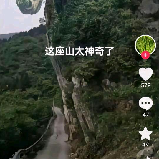 虾扯蛋