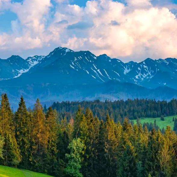 🌶️🌶️🌶️