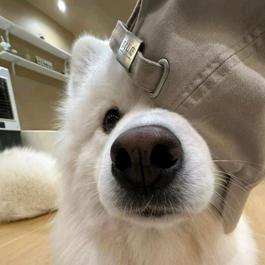 航X