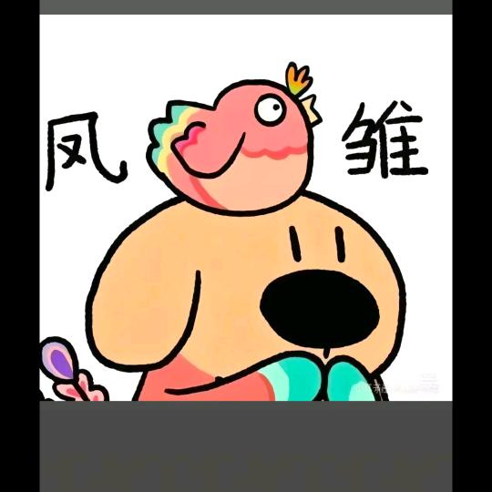 曲奇是只泰迪熊