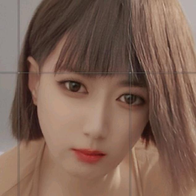 樱花遗落
