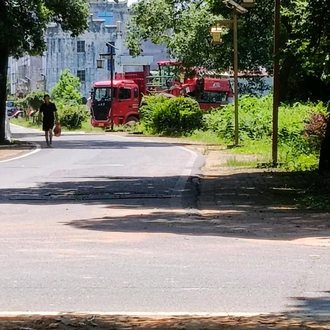 岁月是把杀猪刀