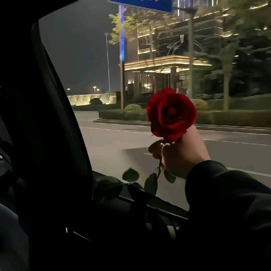 柯柯
