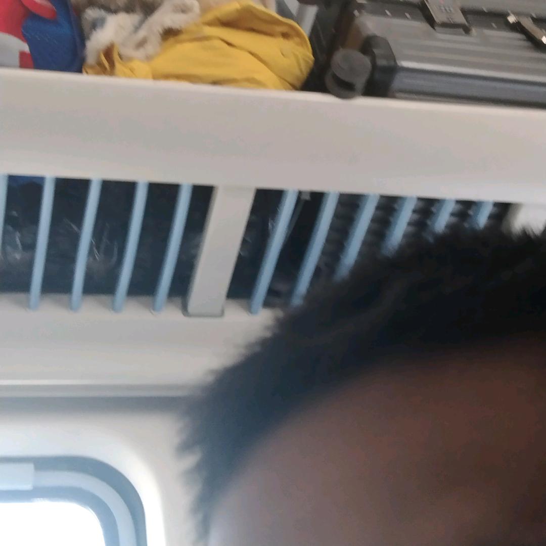 叮咚鸡