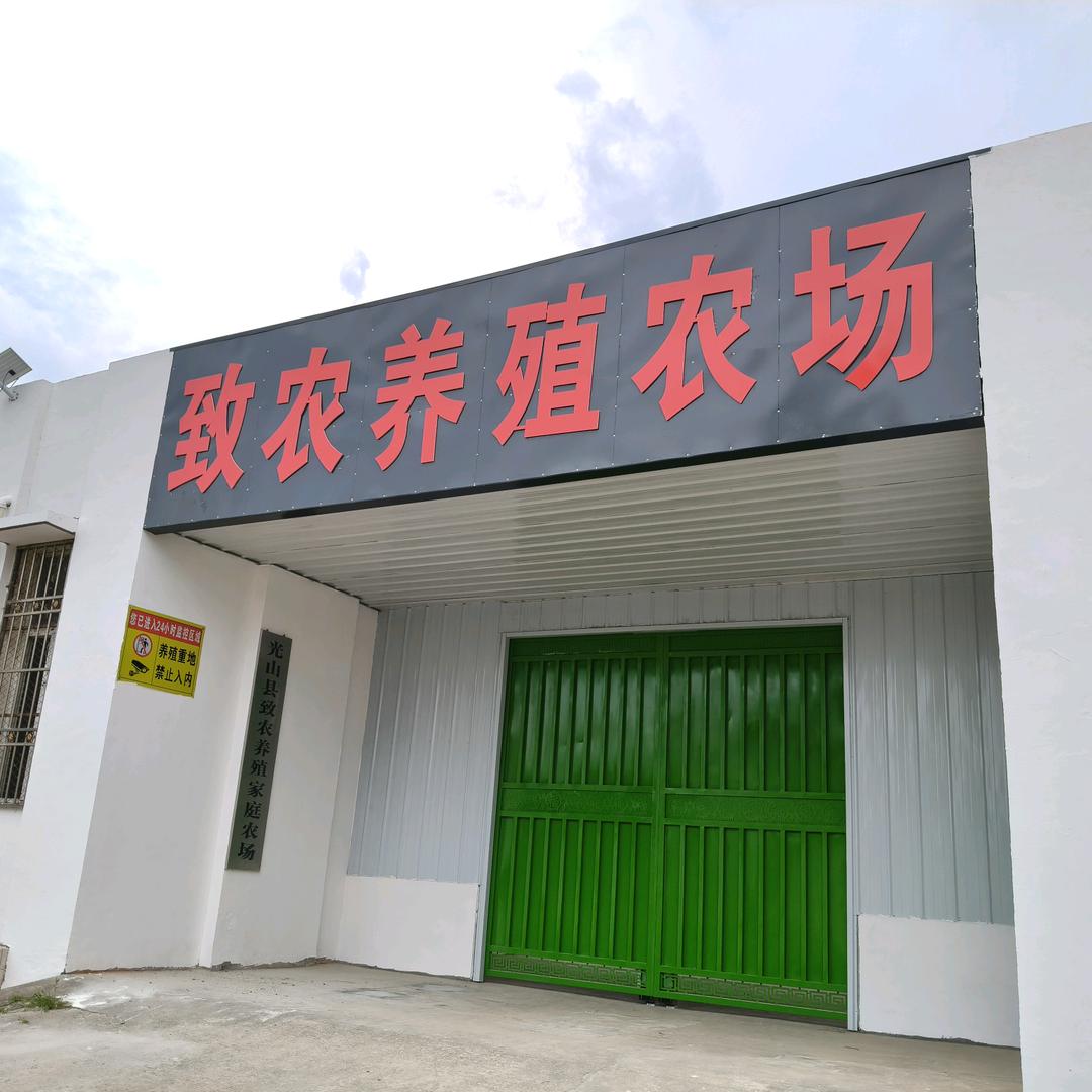 致农壁虎规模化养殖示范基地