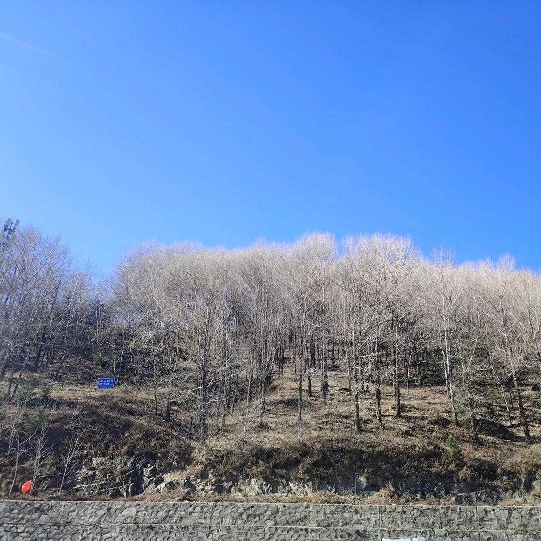 猛踹瘸子那条好腿