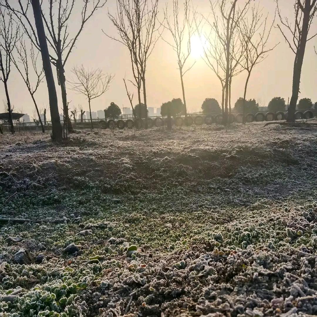 ☘️এ᭄尐幸ꦿ运࿐ᩚ