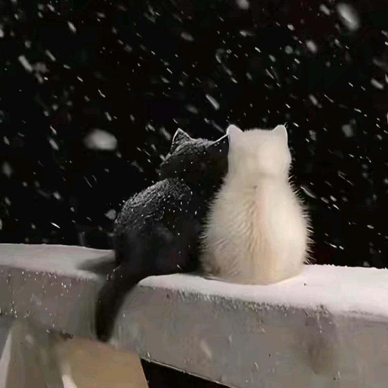 一鹿生花