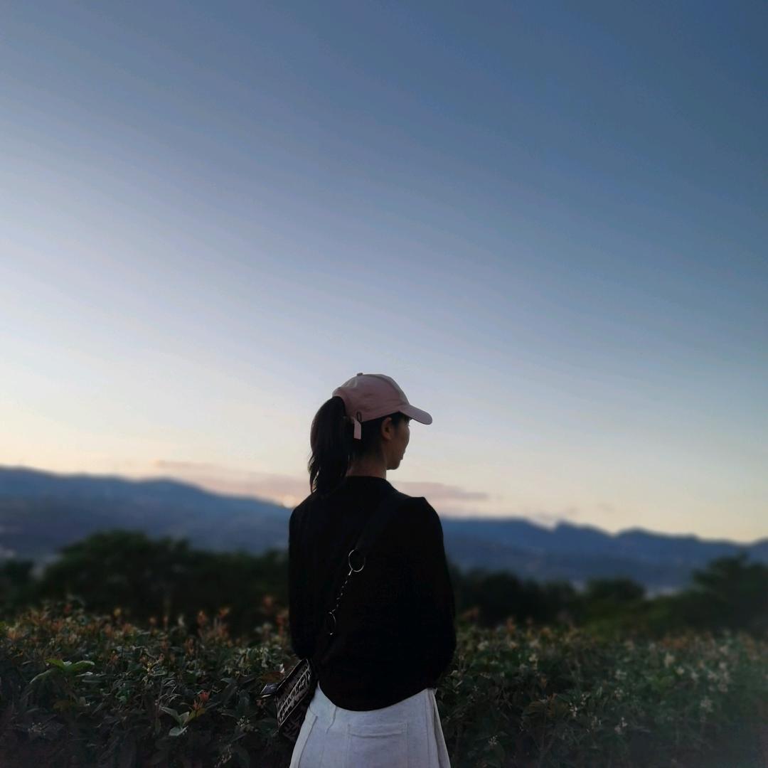 凉茶叶