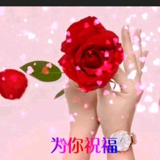 💦相伴一生💦