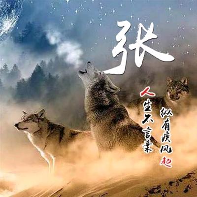 如鱼🐟得水