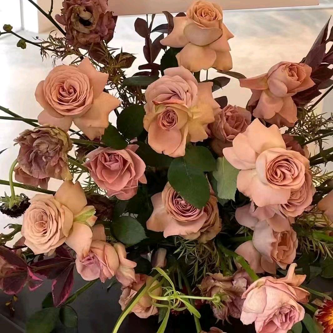 朱晓芳
