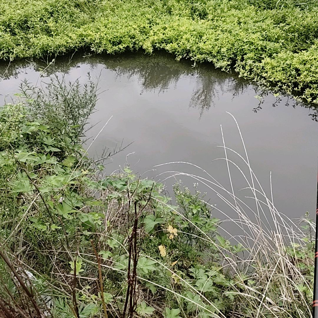 小郑郑