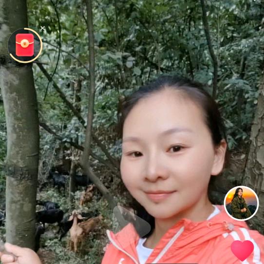 @遵义洪关养羊小胡姐