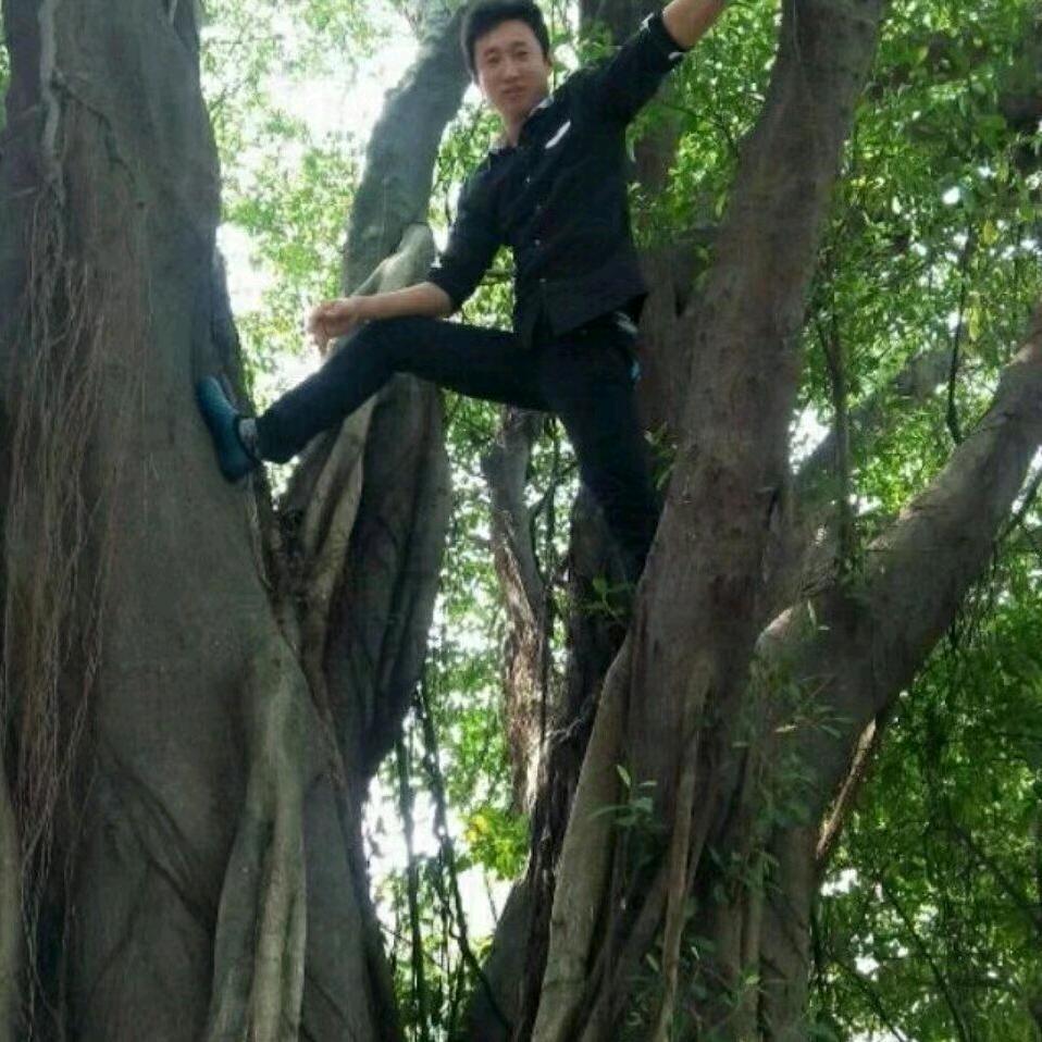 🥀ℒᎭℯꦿ҉᭄࿚ནོ爱已欠费停机