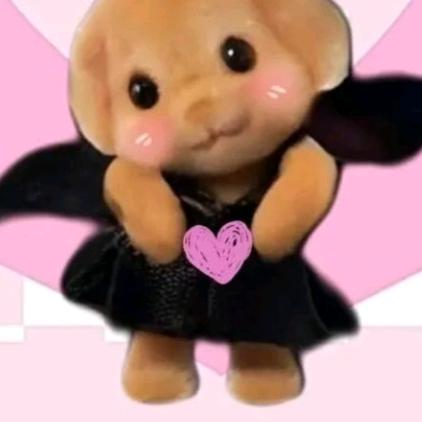 ᓚᘏᗢ  ᗦ↞︎◃︎