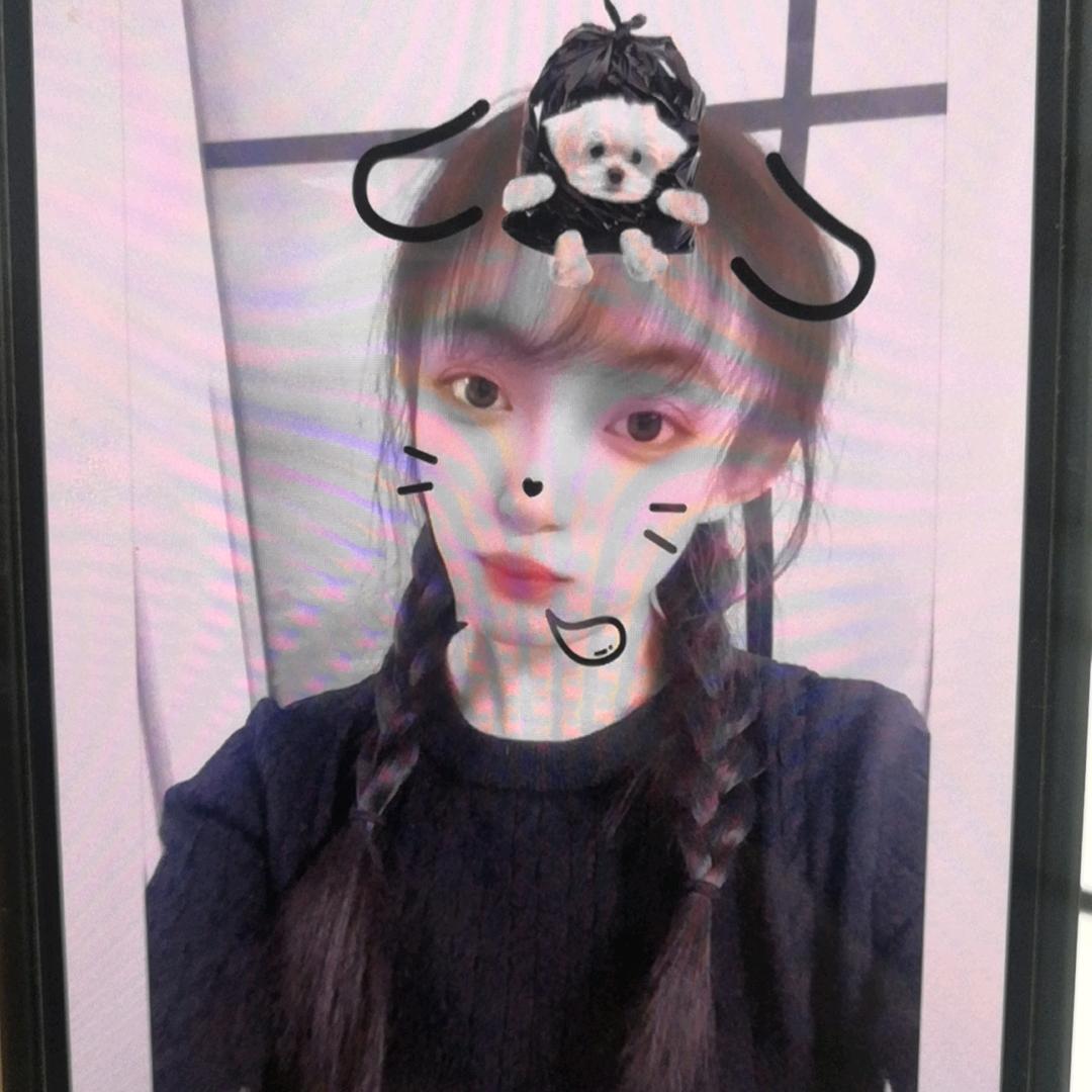 懒羊羊咩