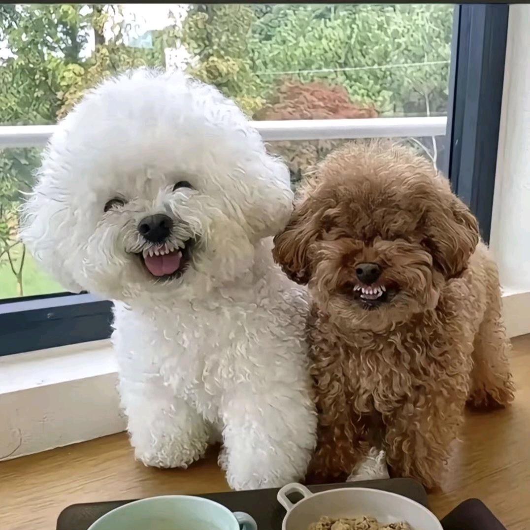 一建成财1154432477