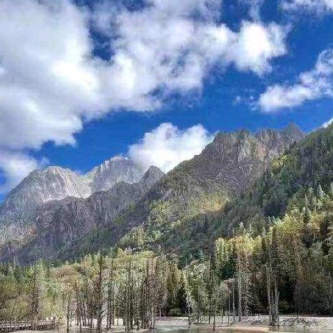 军哥《生意之道》