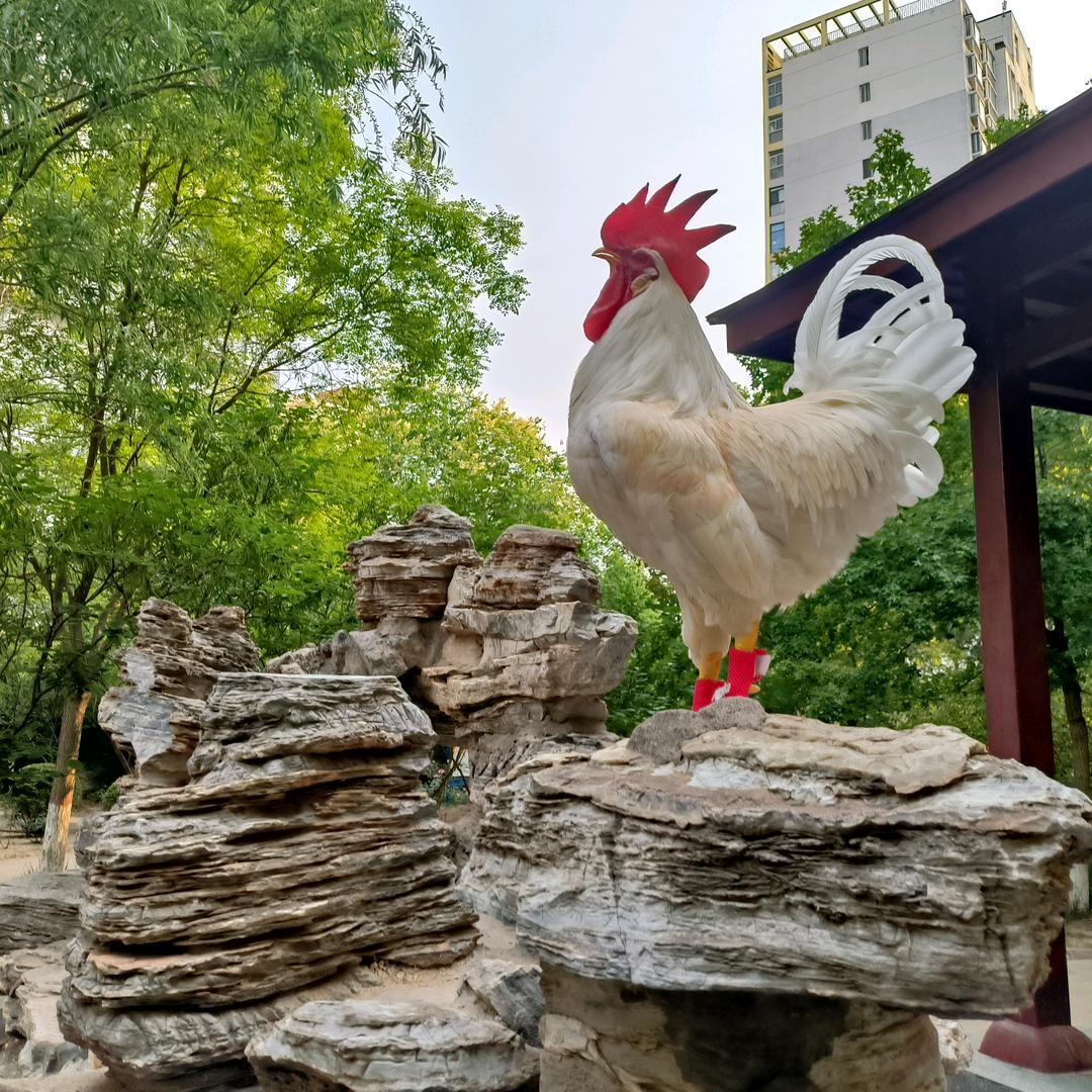 🇨🇳 佳艳