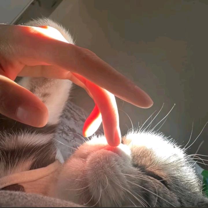 忆怡૮ ´͈ ᗜ `͈ ა♡