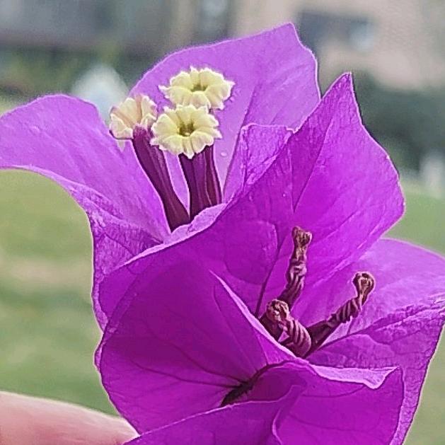 我还要（别停）