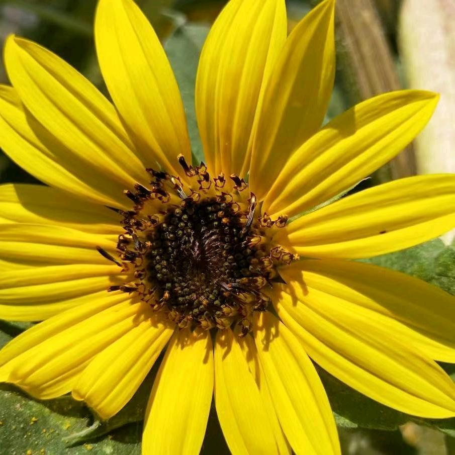 ღ᭄一路☀️向阳ꦿ࿐