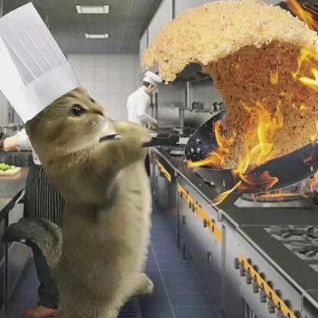 黄豆小猫meme