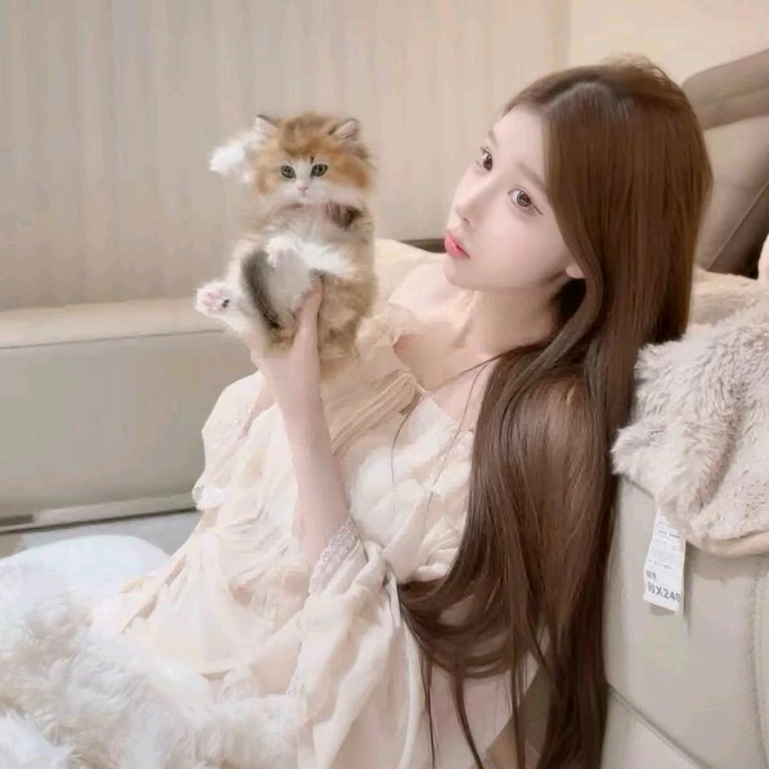 混的琪