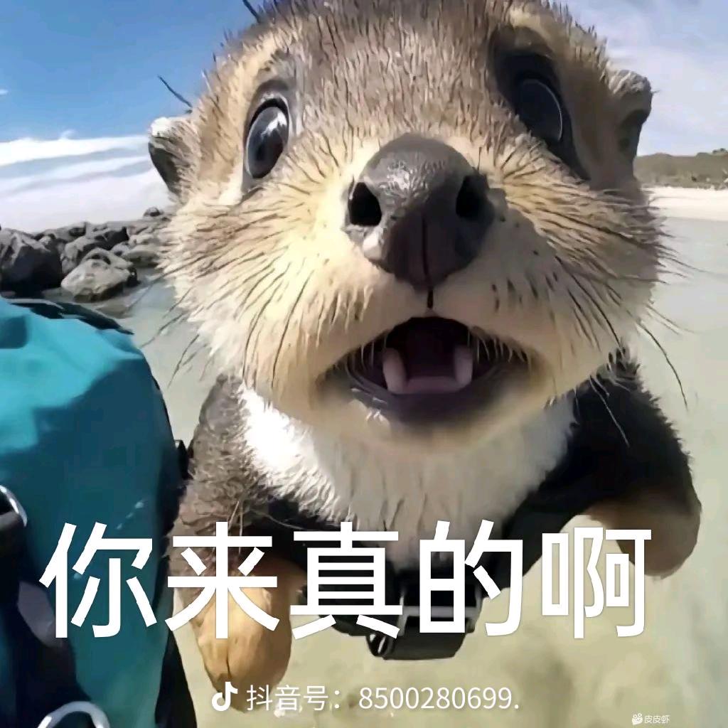 人生知恩图报