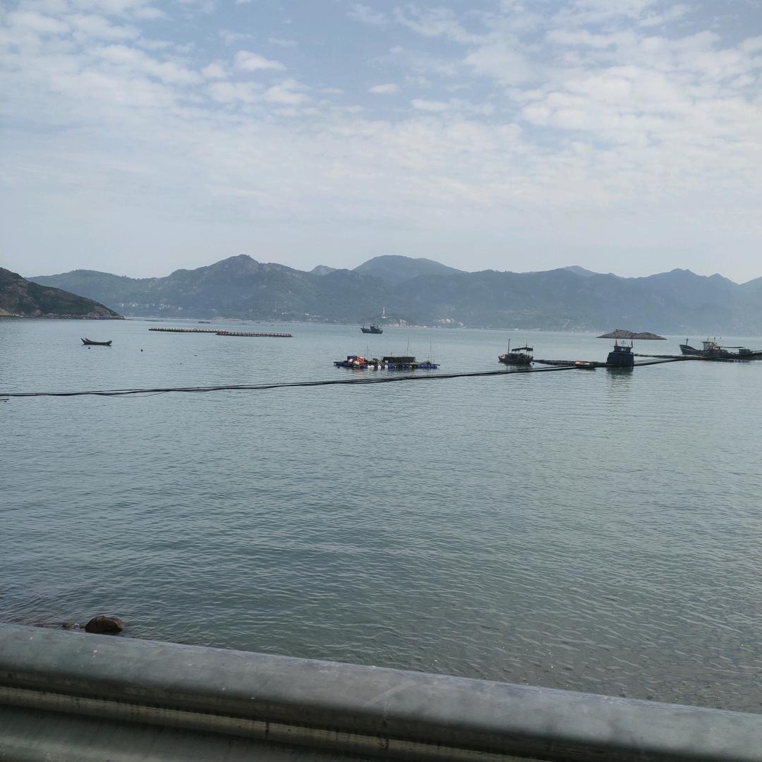 酱果