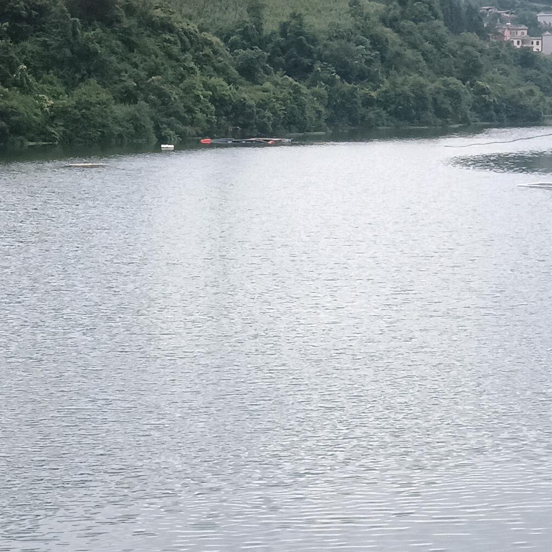 @清茶☘煮酒: