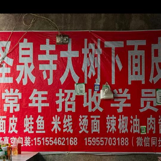 圣泉寺大树面皮 （彭莹莹）