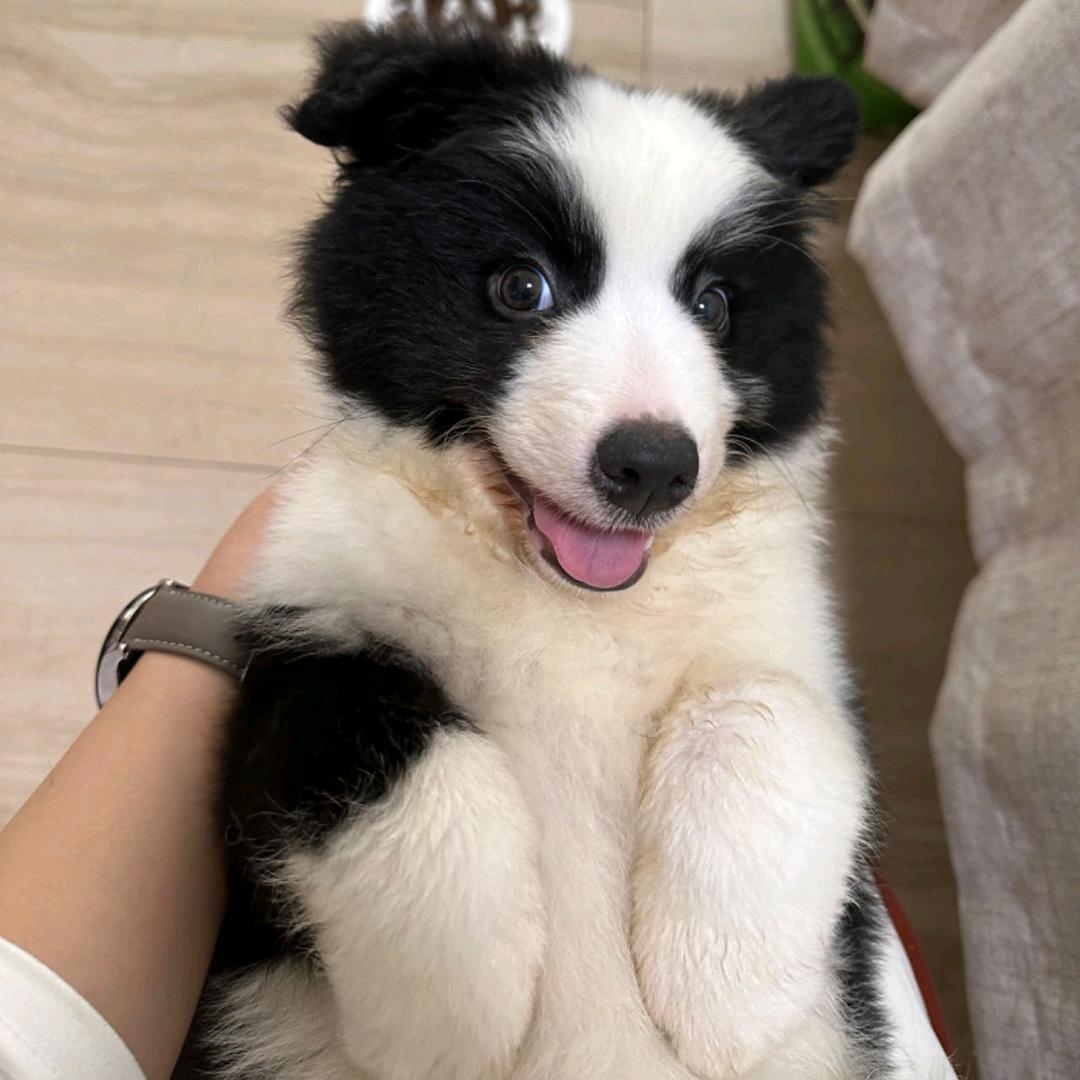 臭臭