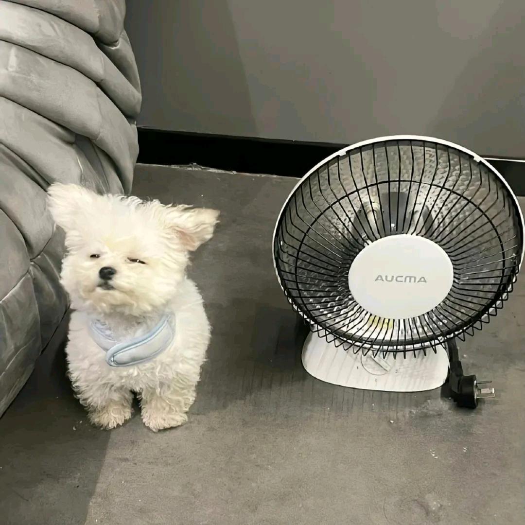 恍如昨日