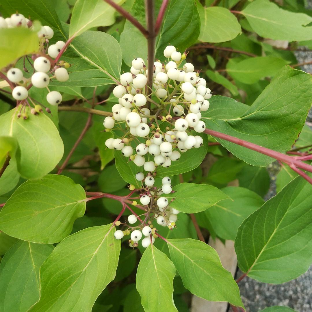 ღ᭄ꫛ封訫ꦿ锁爱❤️᭄࿐ᩚ
