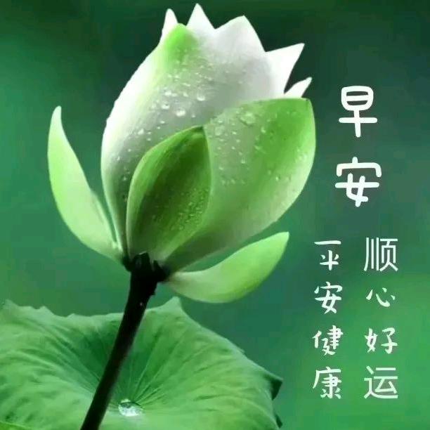 燕儿