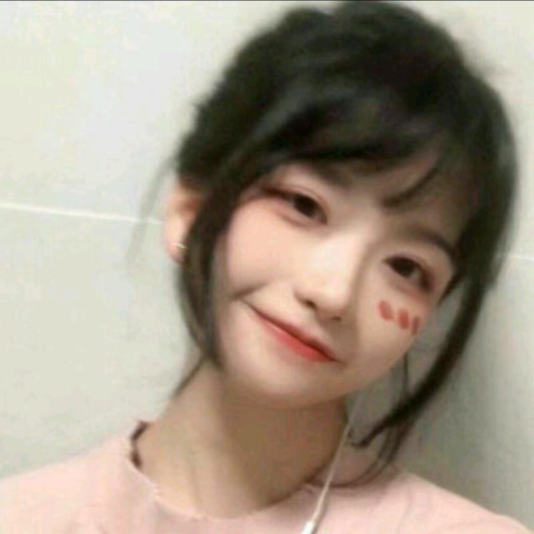 喵了个汪🌈💨