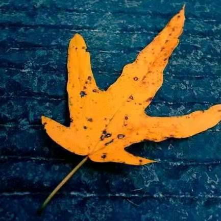 努尔艾力说房