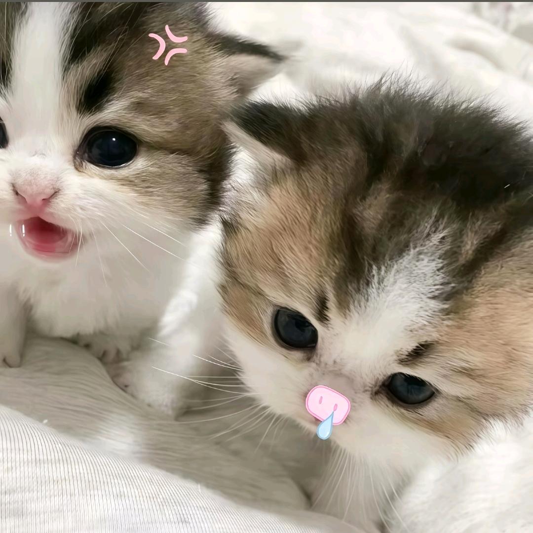 消遣.