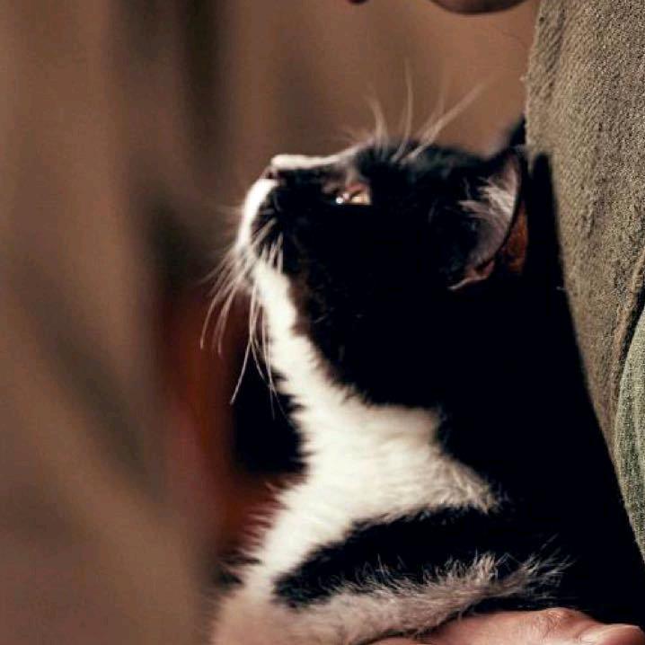 Bedtime阅读喵📖。