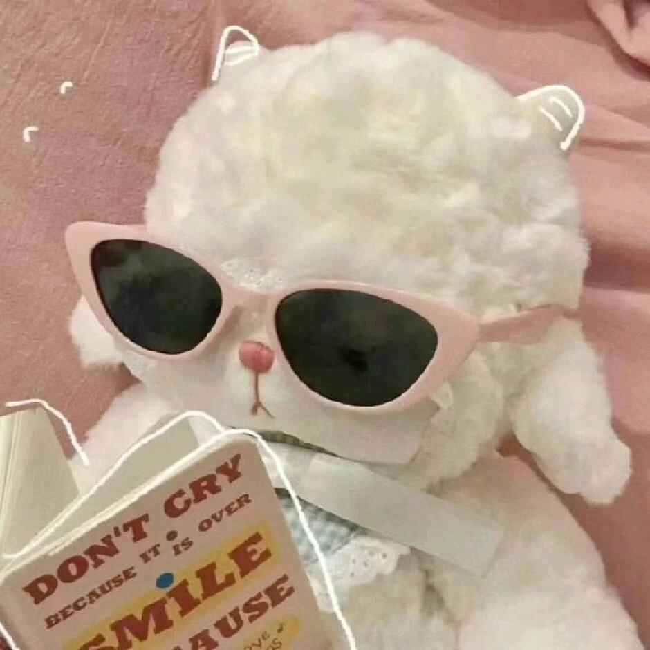 乐比CC 🐾