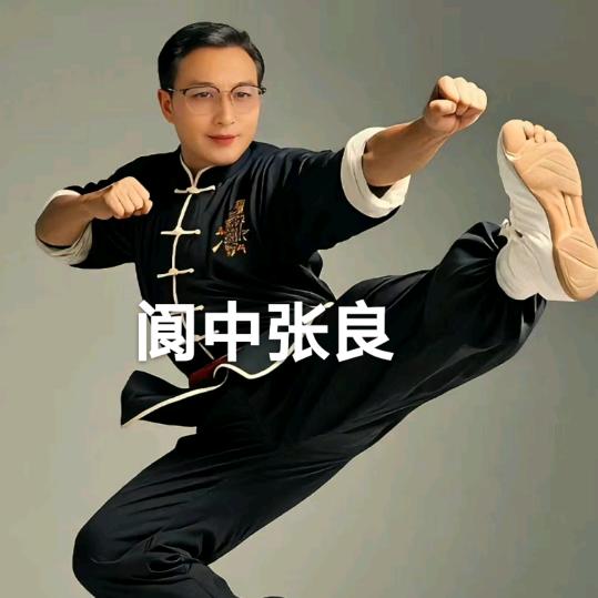 阆中张良