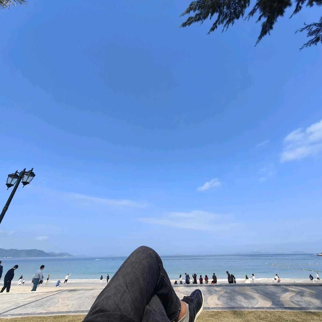 晚风叙旧头像