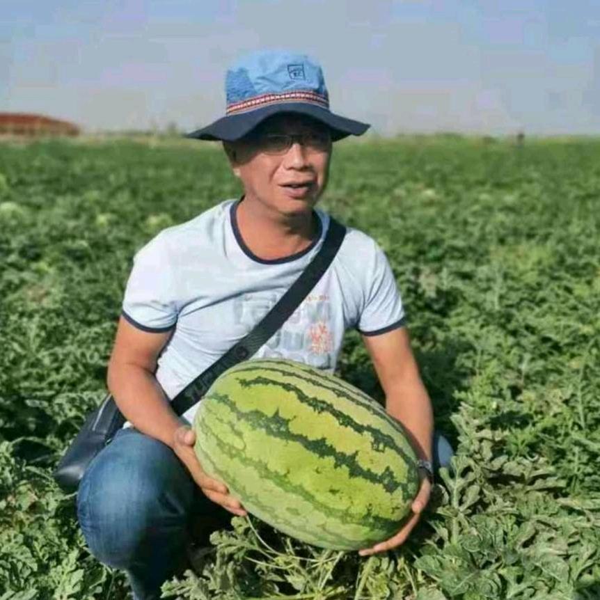 畹町西瓜代办陈云忠