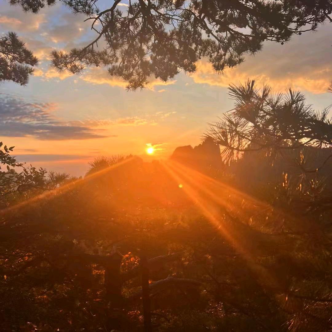 巜阿郎的故事》