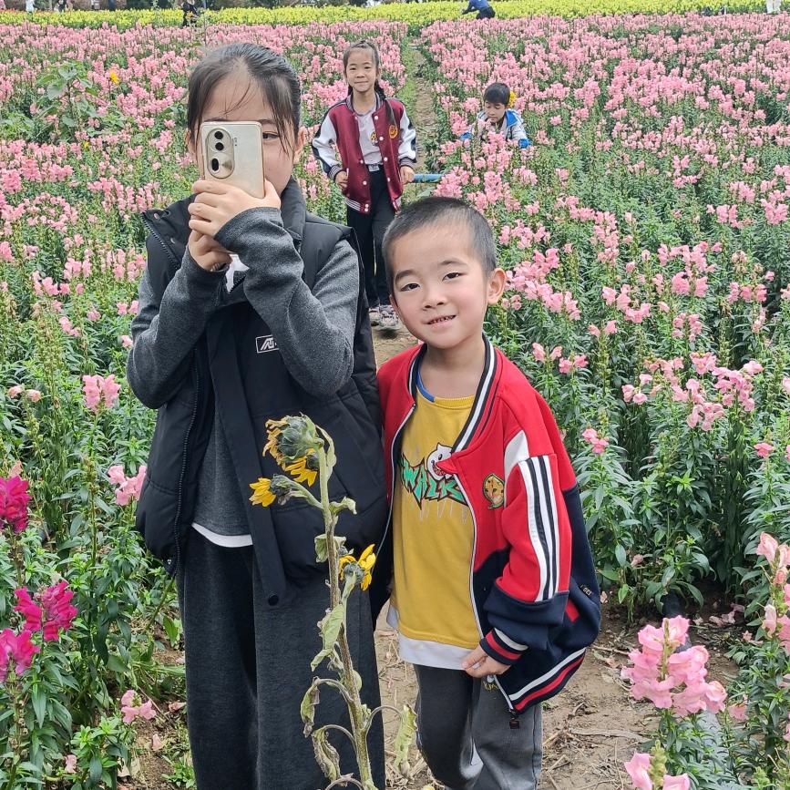 青春都给了二师兄