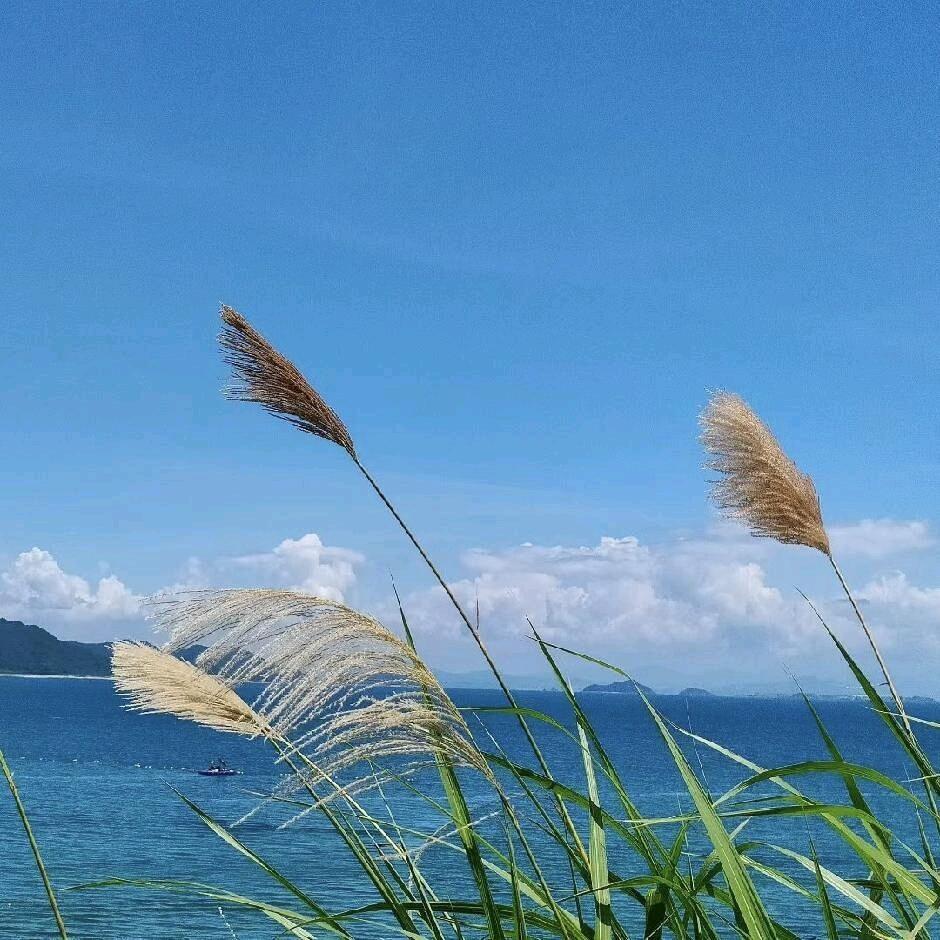 平安喜楽