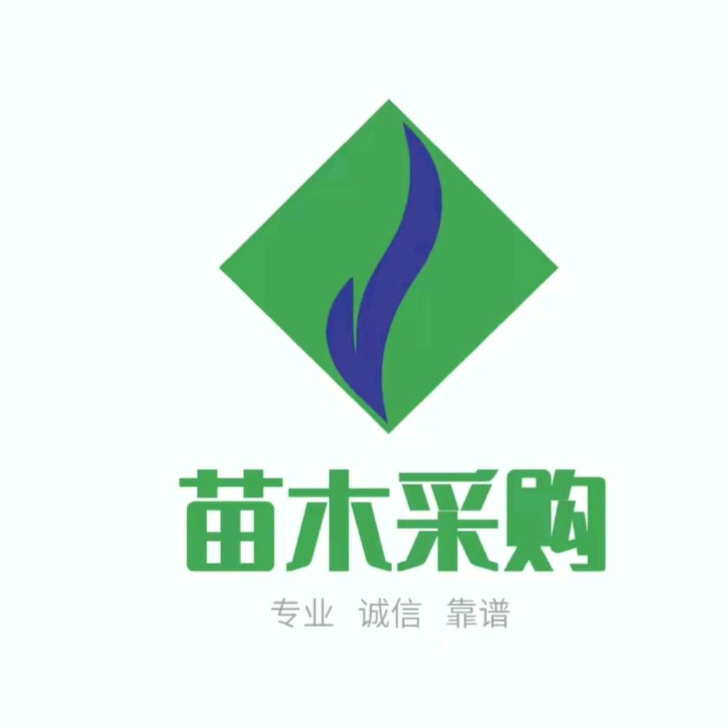 绿化苗木采购——白总(承接园林景观工程