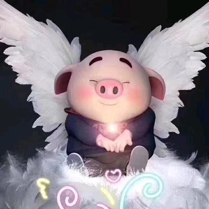 小猪猪˙Ꙫ˙